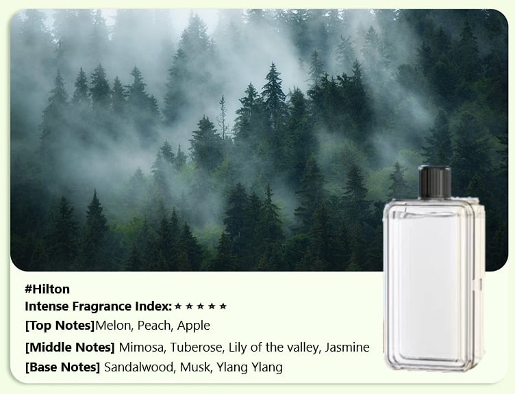 š„Automatic Aromatherapy Diffuser