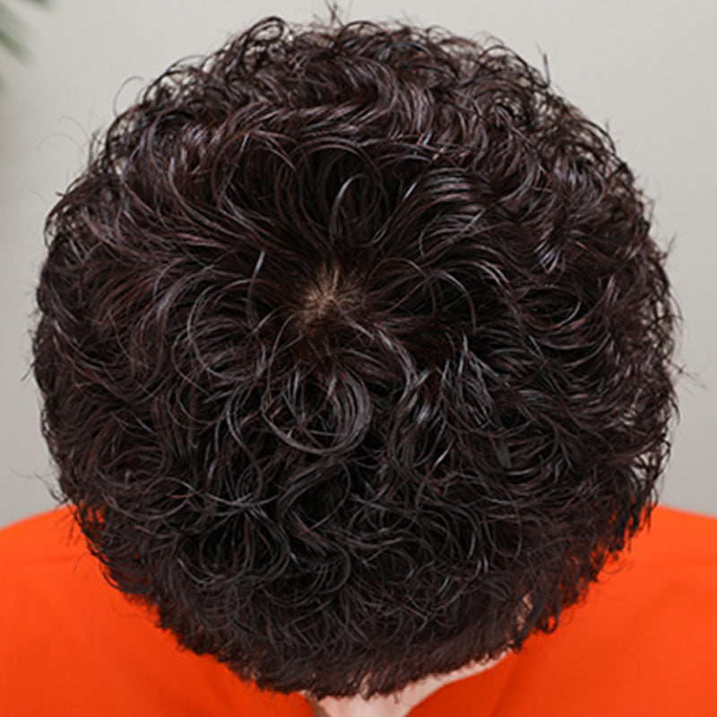 🔥The secret to staying young🔥Elegant Breathable Fluffy Wig Head Covers