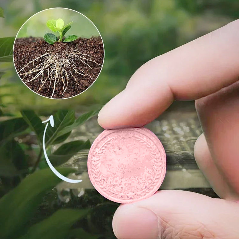 🌿🔋 Slow Release Tablet Fertilizer! 6 months of long-lasting nutrients, 0 mistakes for lazy people to raise flowers 💧!