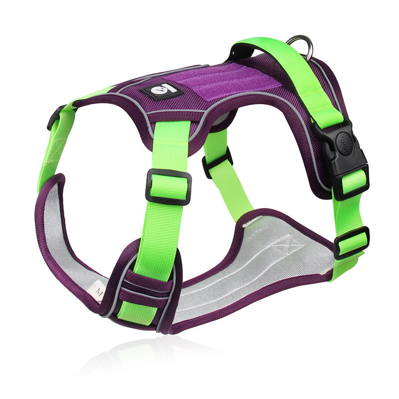 🦮 No‑Pull Dog Harness Kit with Leash & LED Collar – Escape‑Proof, Breathable Padding & Night Visibility 💡