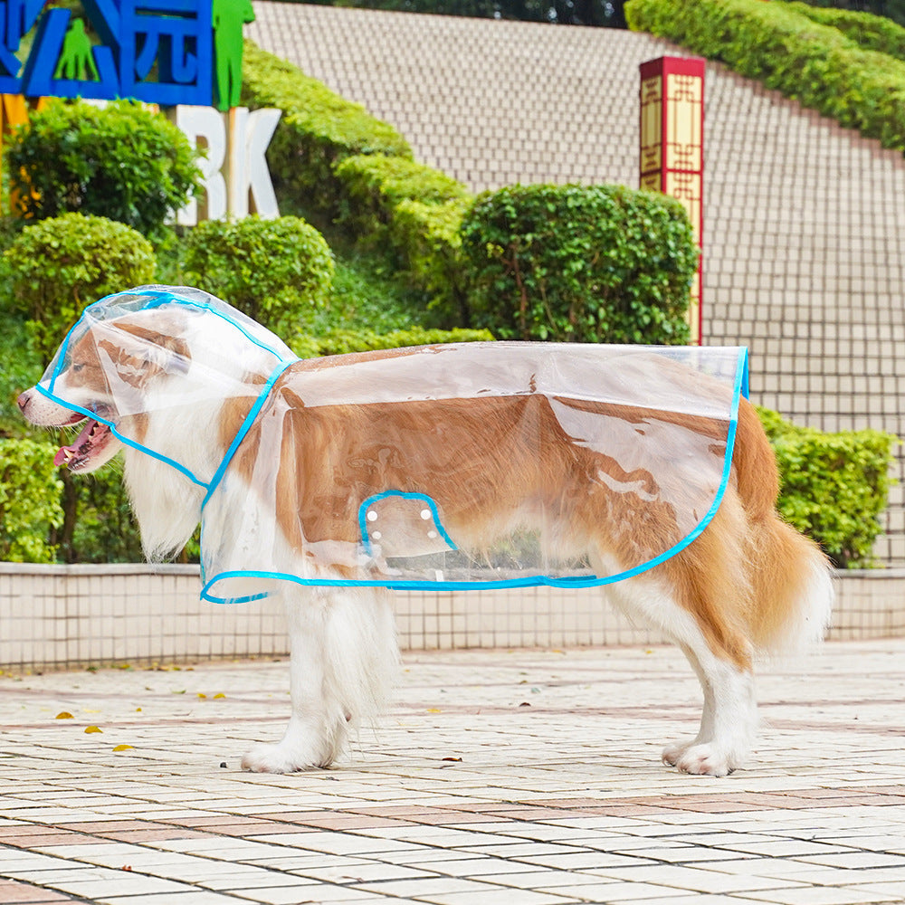 💥2026 HOT SALE💞50K+ SOLD! ✨ 50% OFF!💥Transparent Raincoat For Dog