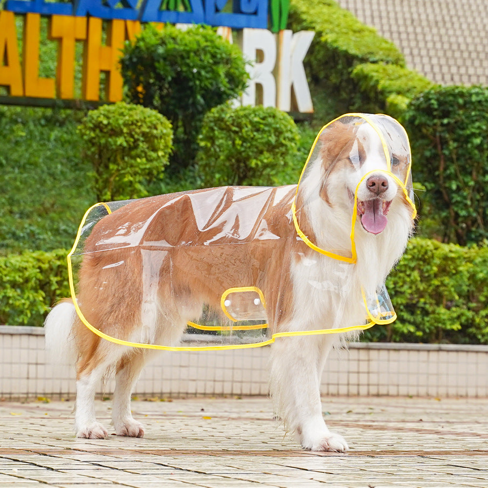 💥2026 HOT SALE💞50K+ SOLD! ✨ 50% OFF!💥Transparent Raincoat For Dog