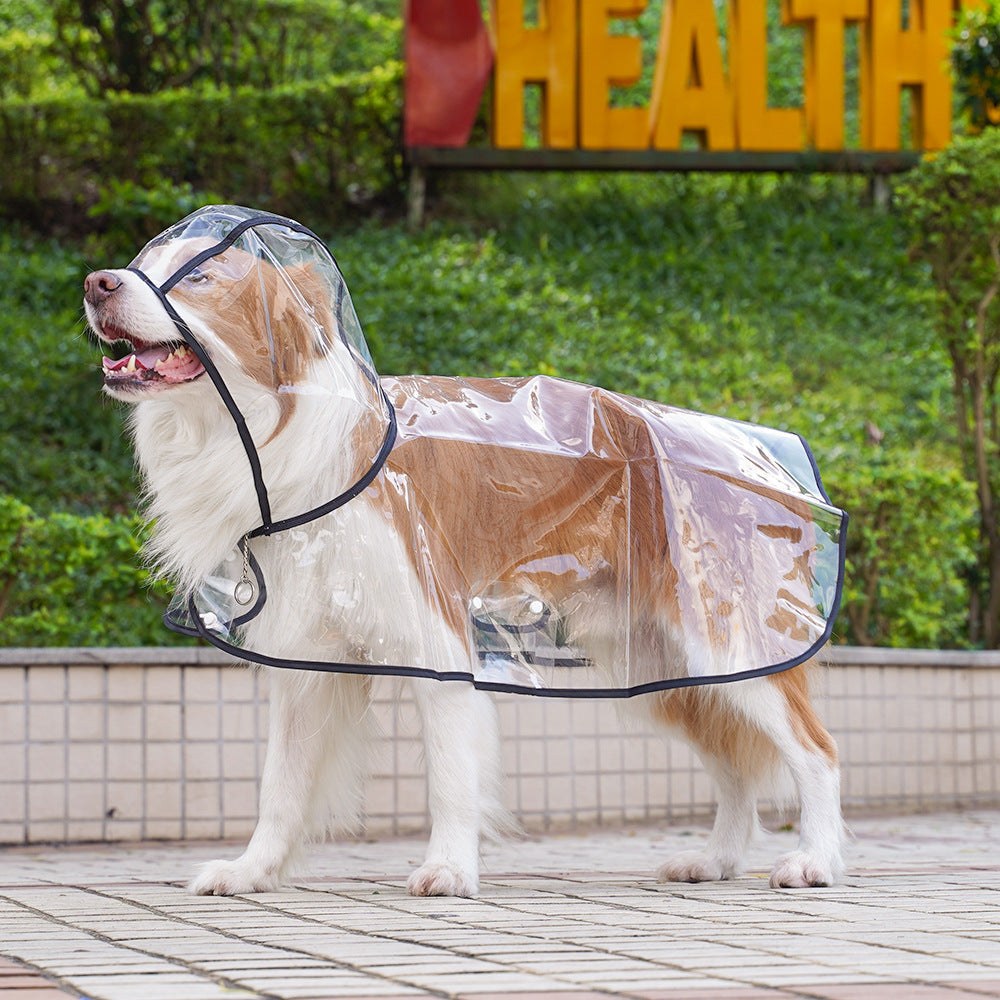 💥2026 HOT SALE💞50K+ SOLD! ✨ 50% OFF!💥Transparent Raincoat For Dog