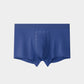 Massage Magnetic Therapy Panties For Men