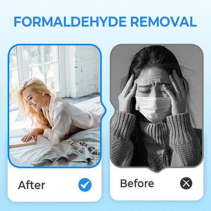 🔥New Year's Special Offer:50% OFF🎉Anti-Formaldehyde Air Purifier for Home