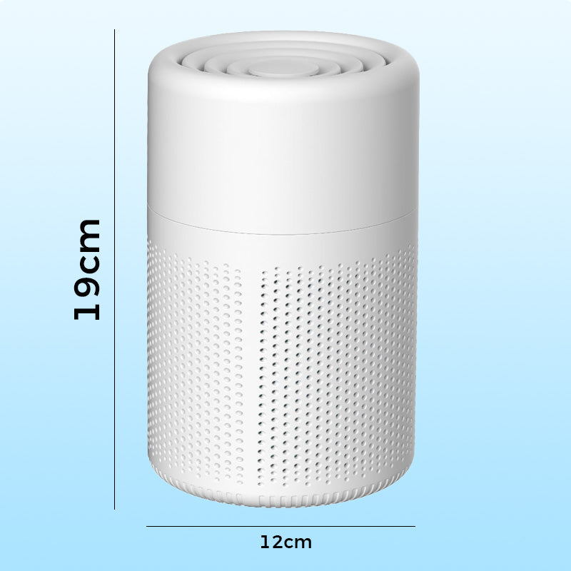 🔥New Year's Special Offer:50% OFF🎉Anti-Formaldehyde Air Purifier for Home