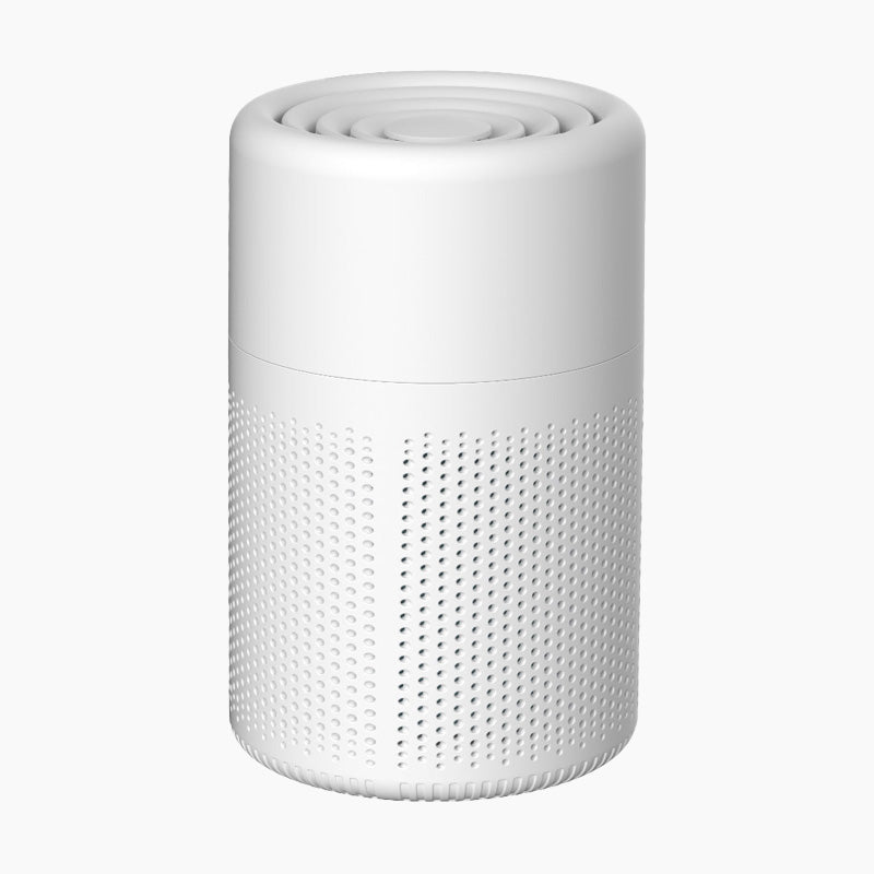 🔥New Year's Special Offer:50% OFF🎉Anti-Formaldehyde Air Purifier for Home