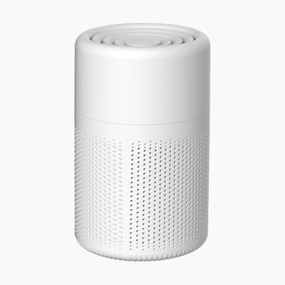 🔥New Year's Special Offer:50% OFF🎉Anti-Formaldehyde Air Purifier for Home