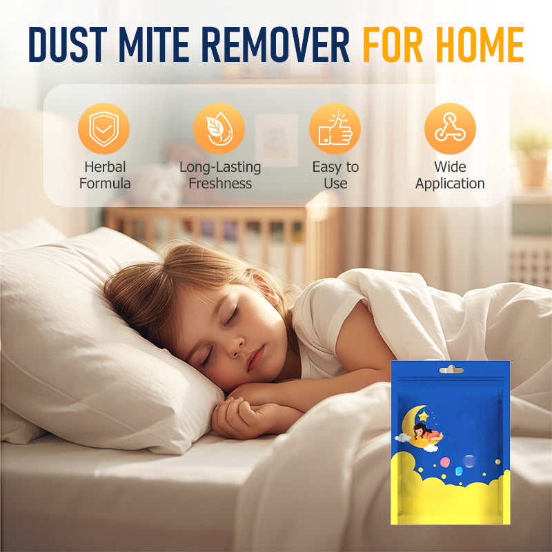 Dust Mite Remover for Home