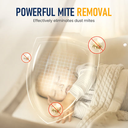 Dust Mite Remover for Home