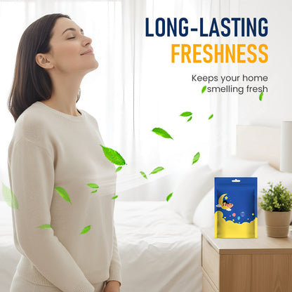 Dust Mite Remover for Home