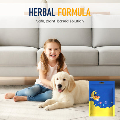 Dust Mite Remover for Home