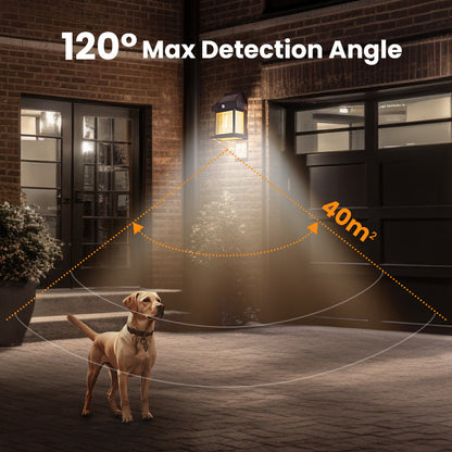 🎁Limited Discount-50%⏳ Motion Sensor Solar Tungsten Wall Light