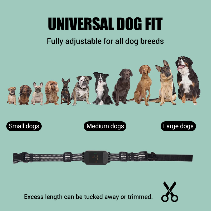 ✨ Remote Dog Training Collar – IP67 Waterproof, 3 Training Modes + IR Light! ✨