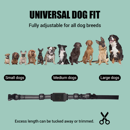 ✨ Remote Dog Training Collar – IP67 Waterproof, 3 Training Modes + IR Light! ✨
