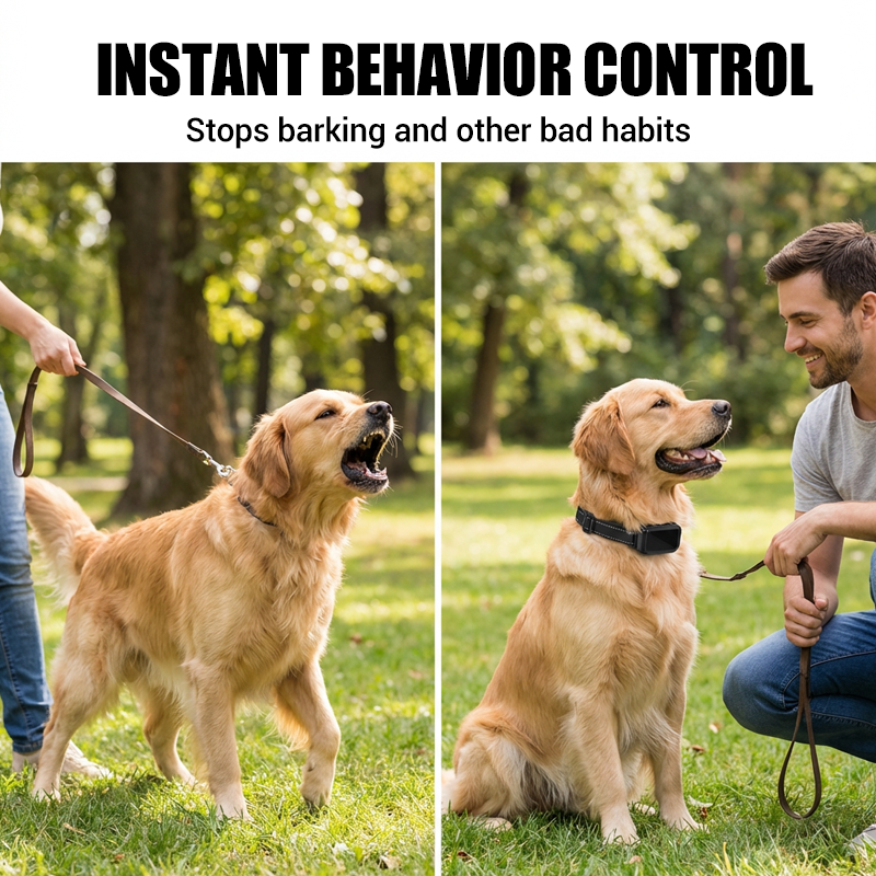 ✨ Remote Dog Training Collar – IP67 Waterproof, 3 Training Modes + IR Light! ✨