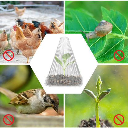 🔥Buy 20 Get 20 Free🔥 Seedling Protective Covers — Thickened PET Material — Protects Young Plants Against Birds and Frost Damage
