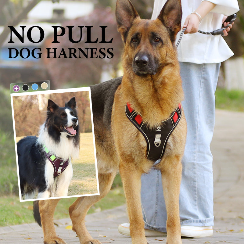 🦮 No‑Pull Dog Harness Kit with Leash & LED Collar – Escape‑Proof, Breathable Padding & Night Visibility 💡