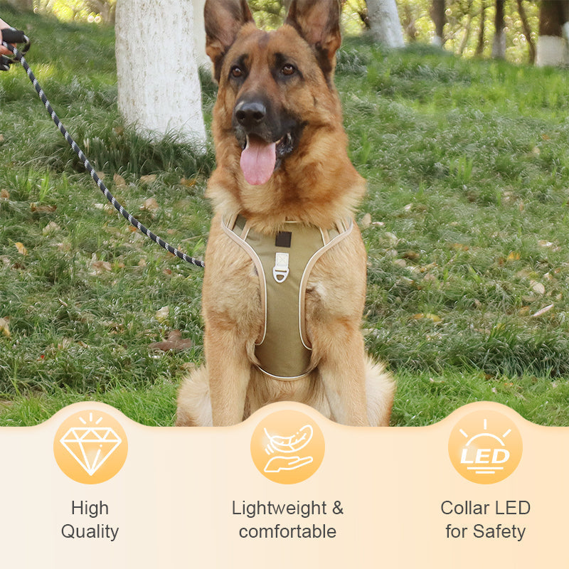 🦮 No‑Pull Dog Harness Kit with Leash & LED Collar – Escape‑Proof, Breathable Padding & Night Visibility 💡