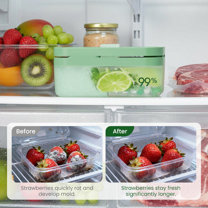 Hanging Refrigerator Deodorizer