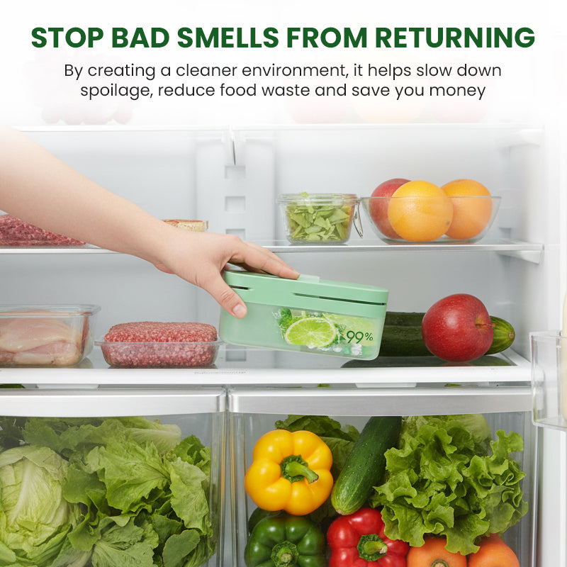 Hanging Refrigerator Deodorizer