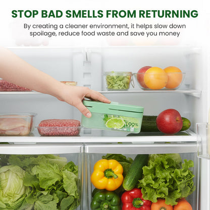 Hanging Refrigerator Deodorizer