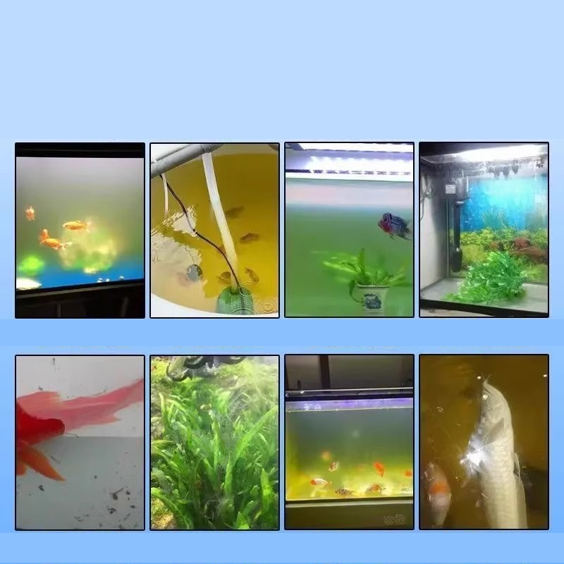 ⏳Limited-time 50% off⏰Aquarium Water Purifying Tablets🐟