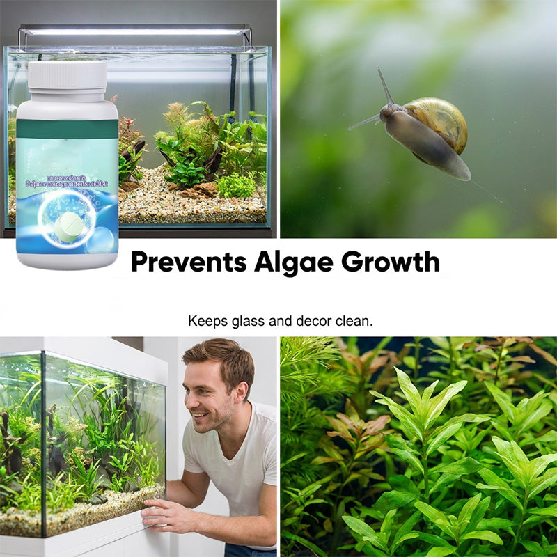 🐠 Buy 1 Get 1 Free✨Effervescent Aquarium Tablets – Crystal Clear, Odor-Free, Rapid Clarify 💧
