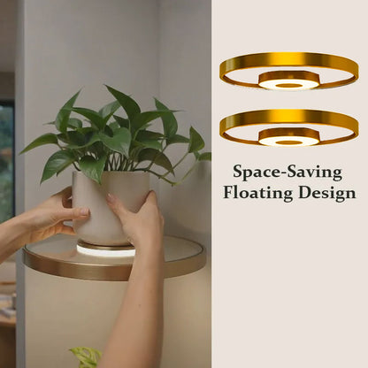 🎉 2026 Sale — Over 39,000 Sold!✨ Floating Shelf with Built-in LED Light 🪴