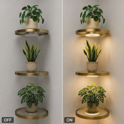 🎉 2026 Sale — Over 39,000 Sold!✨ Floating Shelf with Built-in LED Light 🪴