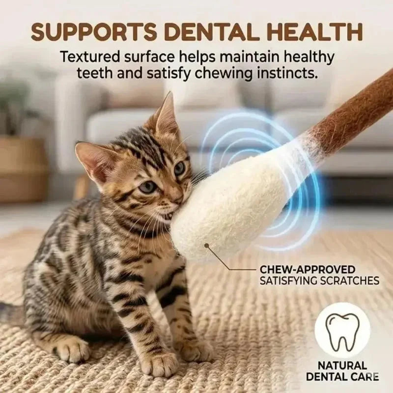 😻Interactive Swab Cat Toy with Catnip