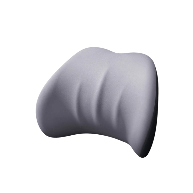 Car Lumbar Support Pillow and Neck Pillow Kit
