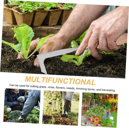 💥Limited - Time Sales: save 50%!!🔥Over 30K+ SOLD!!!🌿 Patio Weeder Tool – Easily Clear Weeds From Paving Gaps