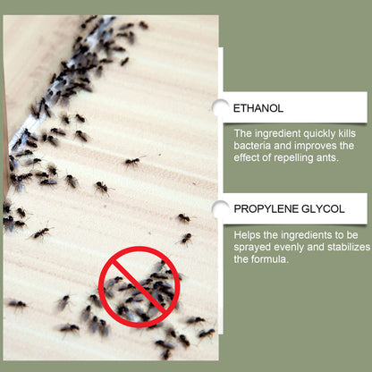 🥳2026 HOT SALE🥳💞50K+ SOLD! 🐜🚫 50% OFF! Multipurpose Powerful Termite Repellent Spray – Fast-acting formula disrupts termite trails & prevents re-infestation. Long-lasting barrier – protect your home from wood-destroying pests! 🏠✨
