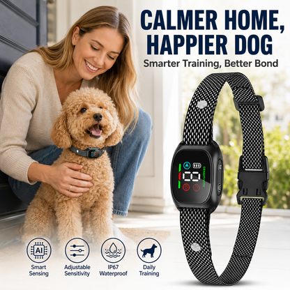 🐕2026 HOT SALE🥳💞50K+ SOLD! 🛡️🐾 50% OFF! Anti Bark Collar – Smart anti‑false triggering filters out other barks. IP67 waterproof & USB rechargeable – worry‑free training anywhere! 💦✅