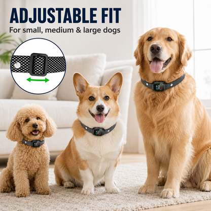 🐕2026 HOT SALE🥳💞50K+ SOLD! 🛡️🐾 50% OFF! Anti Bark Collar – Smart anti‑false triggering filters out other barks. IP67 waterproof & USB rechargeable – worry‑free training anywhere! 💦✅