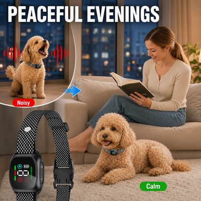 🐕2026 HOT SALE🥳💞50K+ SOLD! 🛡️🐾 50% OFF! Anti Bark Collar – Smart anti‑false triggering filters out other barks. IP67 waterproof & USB rechargeable – worry‑free training anywhere! 💦✅
