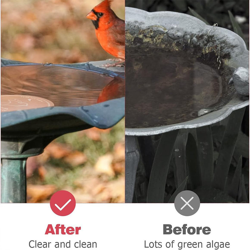 Natural Algae Inhibitor for Bird Baths & Fountains