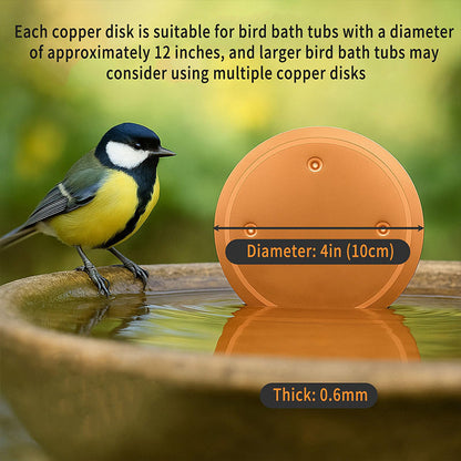 Natural Algae Inhibitor for Bird Baths & Fountains