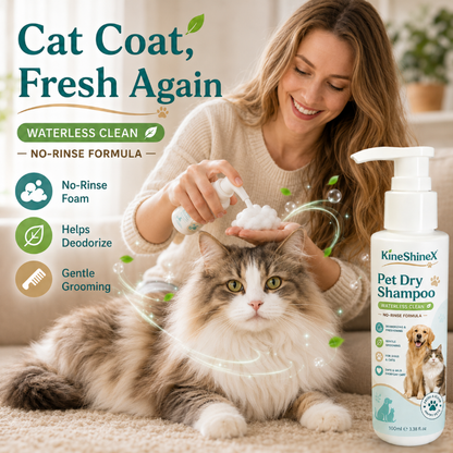 🥳HOT SALE🥳💞 No-rinse, deodorizing & gentle. Fresh pet in minutes – grab yours! ✅