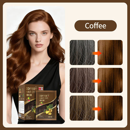 4-in-1 Herbal Hair Dye Shampoo