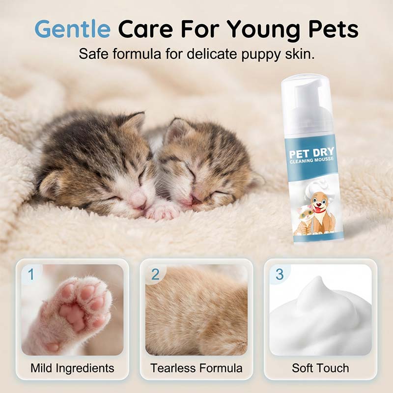 🐾 Waterless Pet Cleaning Mousse – Fresh in Minutes