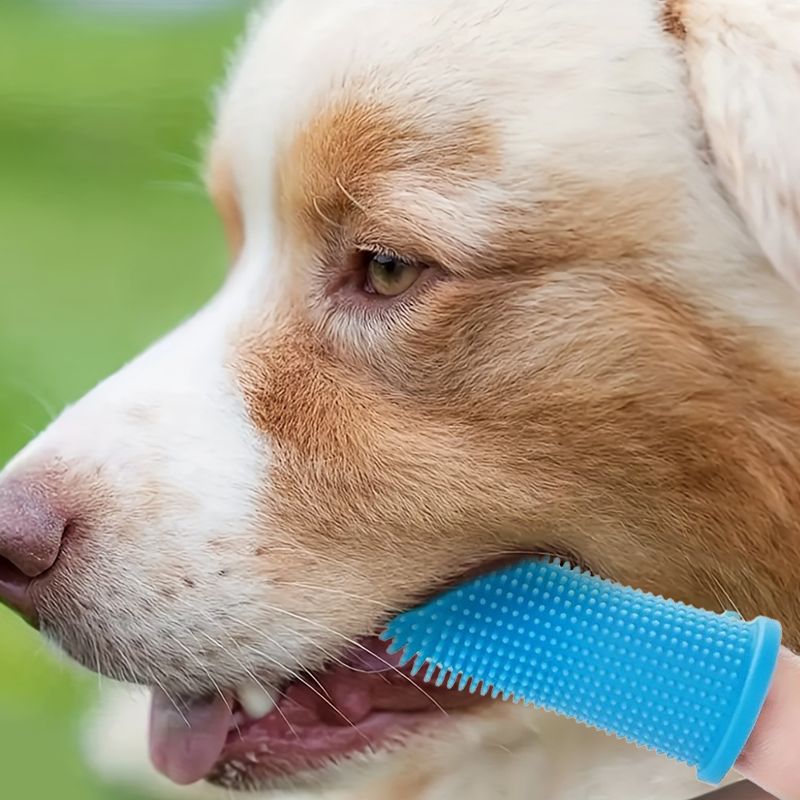 Pet Silicone Finger Toothbrush