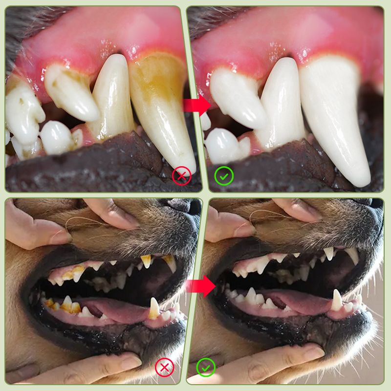 Pet Silicone Finger Toothbrush