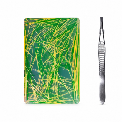 🏆 Last Day Special Price $17.99! 🔥Buy 2 Get 1 Free🎁Rectangular Skin Picking Fidget Toy with Tweezers