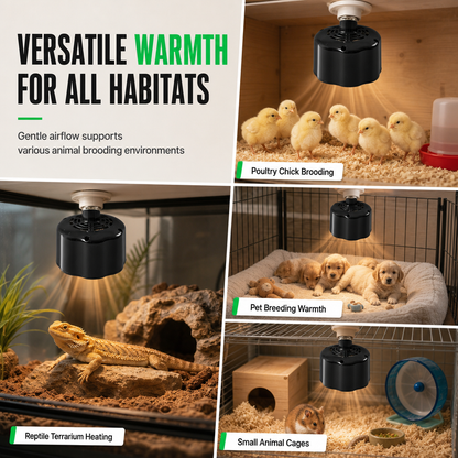 📢📢50% OFF !! ⏰Pet Heat Lamp with Temperature Control