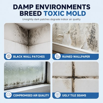 ⏳Last Day Buy 2 Get 1 Free📢Wall Mold & Mildew Remover Spray 240ml, Quick Stain Removal for Painted Walls and Wallpaper🧱
